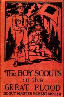 The Boy Scouts in the Great Flood by Robert Shaler