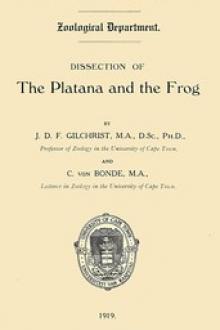 Dissection of the Platana and the Frog by Cecil von Bonde, John Dow Fisher Gilchrist