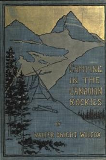 Camping in the Canadian Rockies by Walter Dwight Wilcox