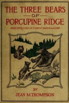 The Three Bears of Porcupine Ridge by Jean May Thompson