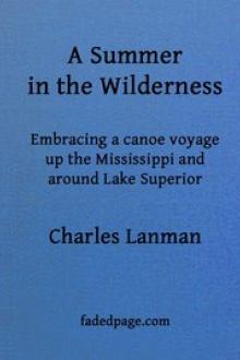 A Summer in the Wilderness by Charles Lanman