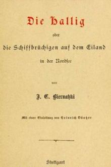 Die Hallig by Johann Christoph Biernatzki