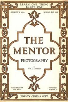 The Mentor by Paul Anderson