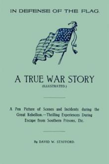 In Defense of the Flag: A true war story by David W. Stafford