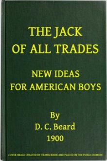 New Ideas for American Boys by Dan Beard