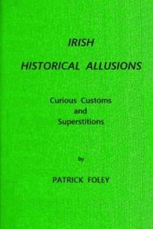 Irish Historical Allusions by Patrick M. Foley