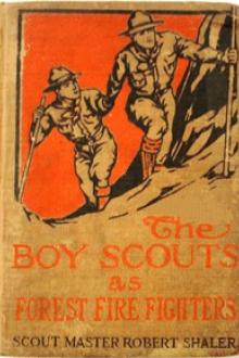 The Boy Scouts as Forest Fire Fighters by Robert Shaler