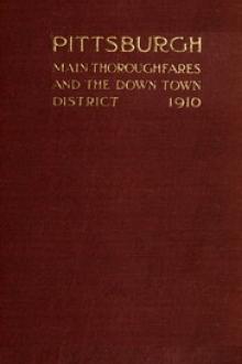 Pittsburgh Main Thoroughfares and the Down Town District by Frederick Law Olmsted