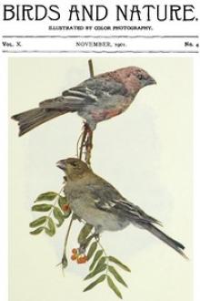 Birds and Nature, Vol. 10 No. 4 by Various