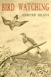 Bird Watching by Edmund Selous