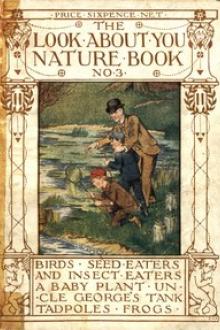 The 'Look About You' Nature Study Books, Book 3 by Thomas W. Hoare