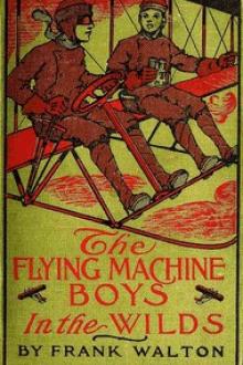 The Flying Machine Boys in the Wilds by Frank Walton