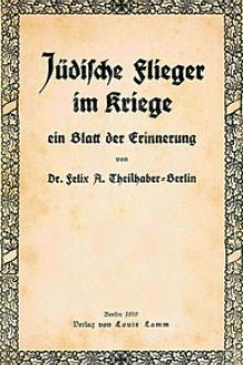 Jüdische Flieger im Kriege by Felix Aaron Theilhaber