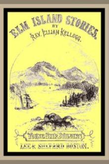 The Young Ship-Builders of Elm Island by Elijah Kellogg