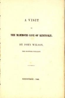 A Visit to the Mammoth Cave of Kentucky by John Wilson