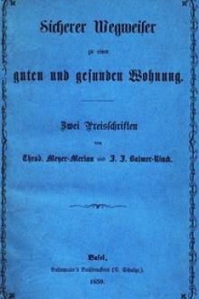 Sicherer Wegweiser zu einer guten und gesunden Wohnung by Johann Jakob Balmer-Rinck, Theodor Meyer-Merian
