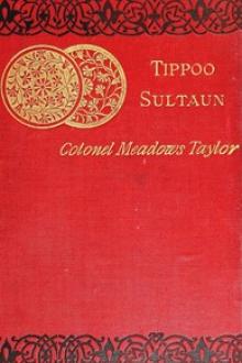 Tippoo Sultaun by Meadows Taylor