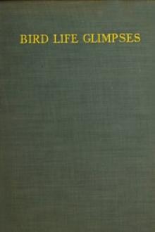 Bird Life Glimpses by Edmund Selous