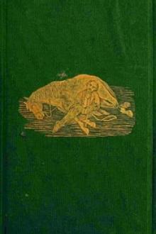 Tachyhippodamia by Willis J. Powell, John Solomon Rarey