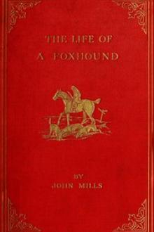 The Life of a Foxhound by John Mills