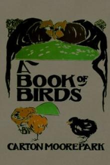A Book of Birds by Carton Moore Park