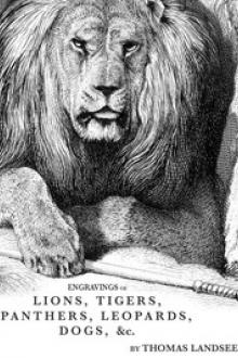Engravings of Lions, Tigers, Panthers, Leopards, Dogs, &c by Thomas Landseer