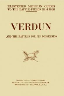 The Battle of Verdun by Unknown