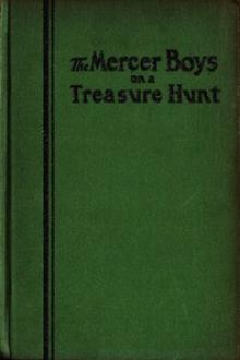 The Mercer Boys on a Treasure Hunt by Capwell Wyckoff