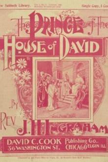 The Prince of the House of David by Joseph Holt Ingraham