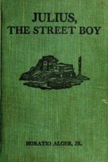 Julius, The Street Boy by Jr. Alger Horatio