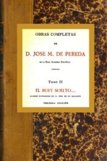 El buey suelto by José María de Pereda