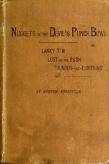 Nuggets in the Devil's Punch Bowl and Other Australian Tales by Andrew Robertson