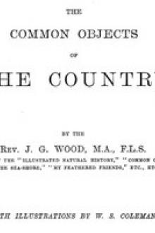 The Common Objects of the Country by John George Wood