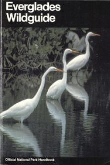 Everglades Wildguide by Jean Craighead George