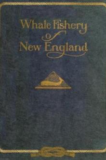 Whale Fishery of New England by Various
