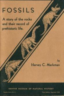 Fossils: A Story of the Rocks and Their Record of Prehistoric Life by Harvey C. Markman