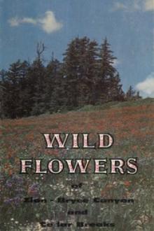 Wild Flowers of Zion and Bryce Canyon National Parks and Cedar Breaks National Monument by Leland Francis Allen, Carl Elmer Jepson