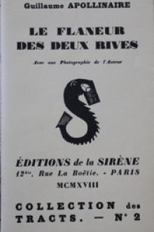 Le flâneur des deux rives by Guillaume Apollinaire