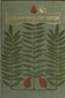 William Hamilton Gibson by John Coleman Adams
