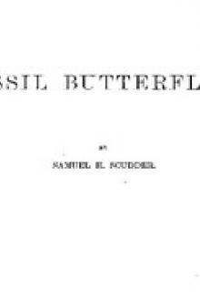 Fossil Butterflies by Samuel H. Scudder