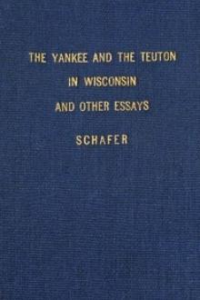 The Yankee and the Teuton in Wisconsin by Joseph Schafer