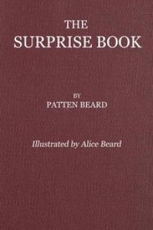The Surprise Book by Patten Beard