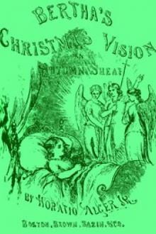 Bertha's Christmas Vision by Jr. Alger Horatio