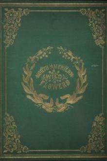 North American Wild Flowers by Catherine Parr Traill, Agnes FitzGibbon