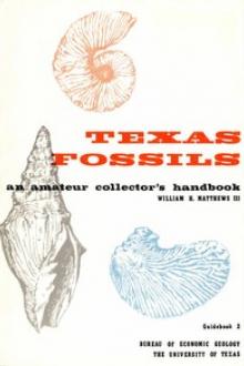 Texas Fossils: An Amateur Collector's Handbook by William H. Matthews III
