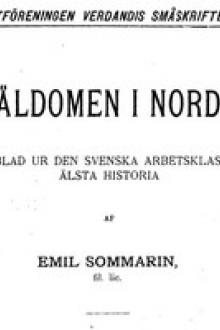 Träldomen i Norden by Emil Sommarin