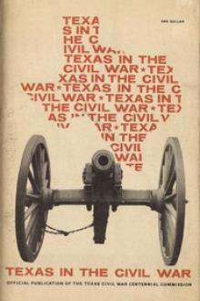 Texas in the Civil War by Allan C. Ashcroft