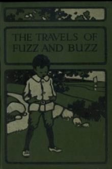 The Travels of Fuzz and Buzz by Geraldine Mockler