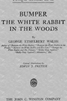 Bumper the White Rabbit in the Woods by George Ethelbert Walsh