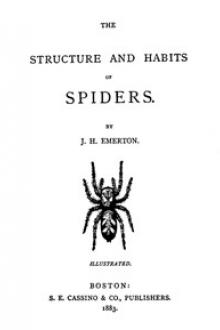 The Structure and Habits of Spiders by James Henry Emerton